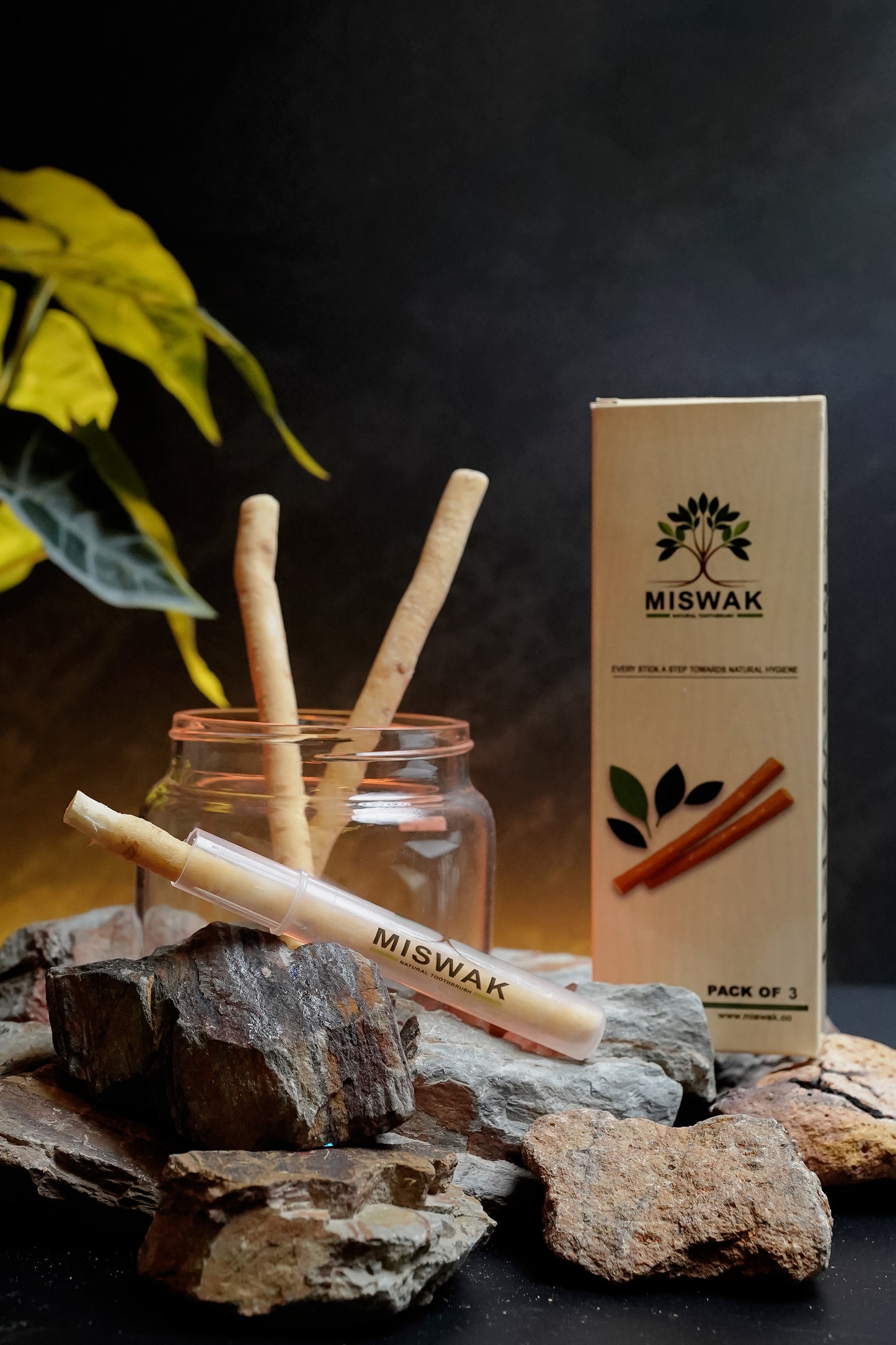 MISWAK πΏ PureMiswak β 100% Natural Miswak (Pack of 3)
