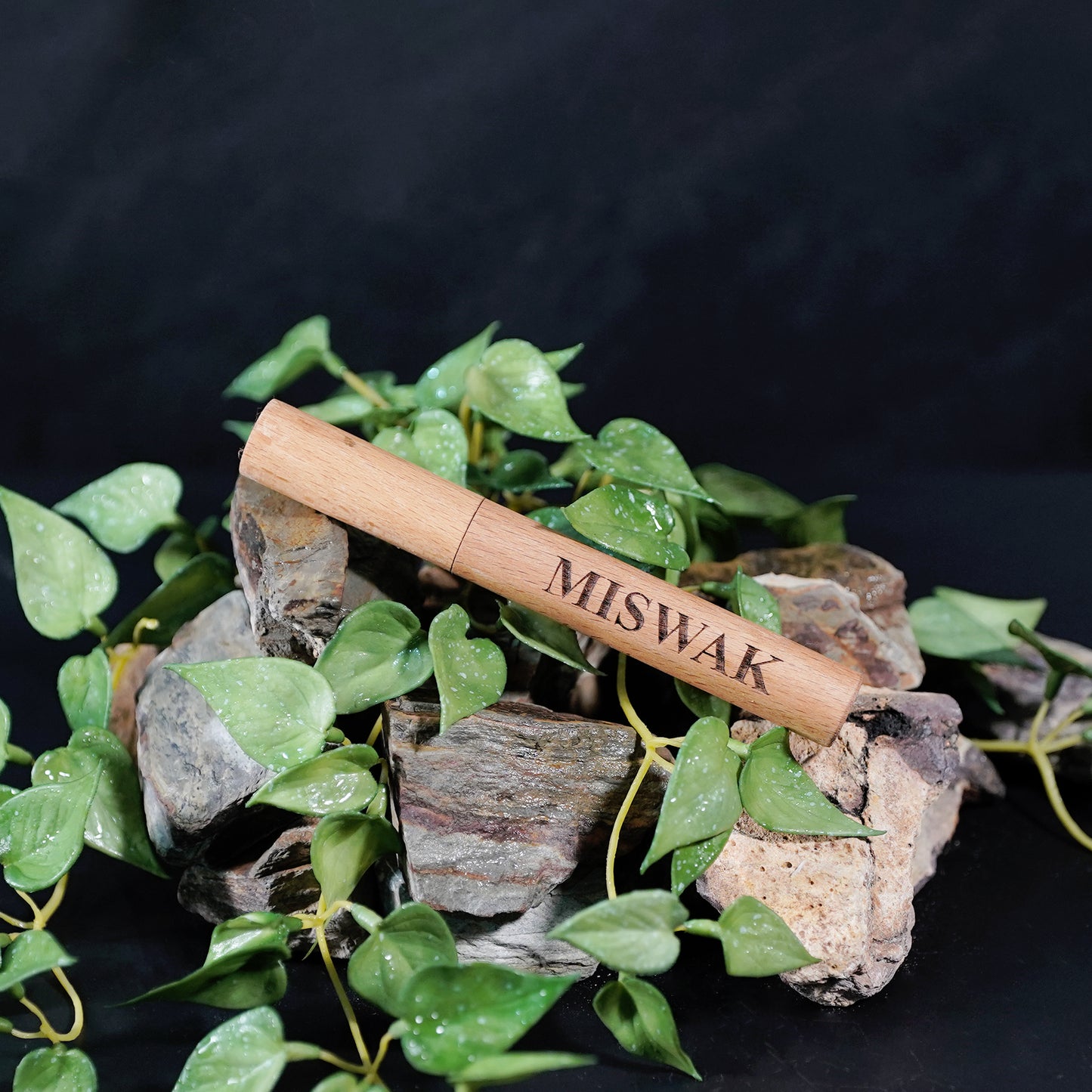 MISWAK -PureMiswak – Natural Freshness with Wooden Holder (Pack of 10)