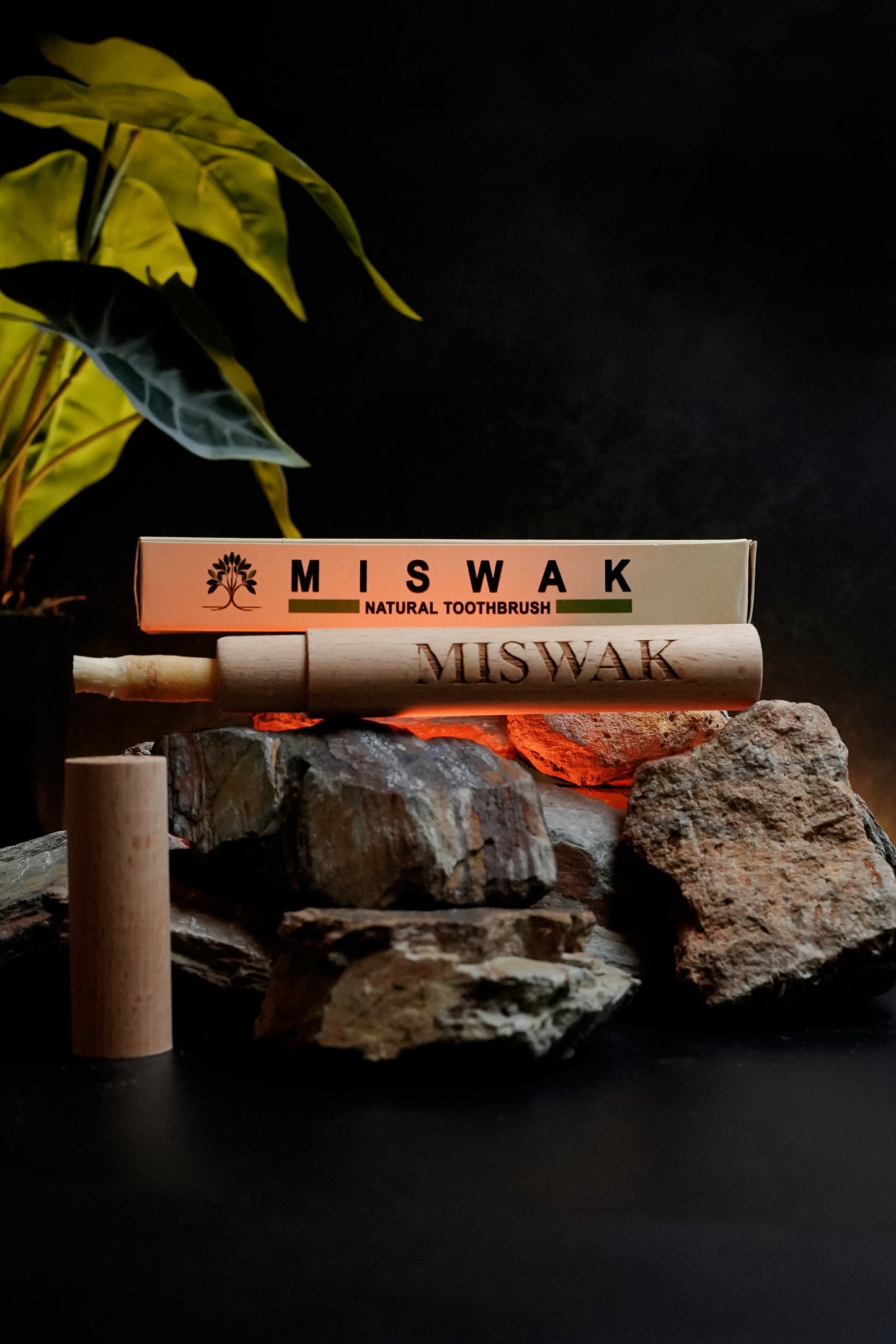 MISWAK 🌿 PureMiswak – 100% Natural Miswak with Wooden Cover (Pack of 1)